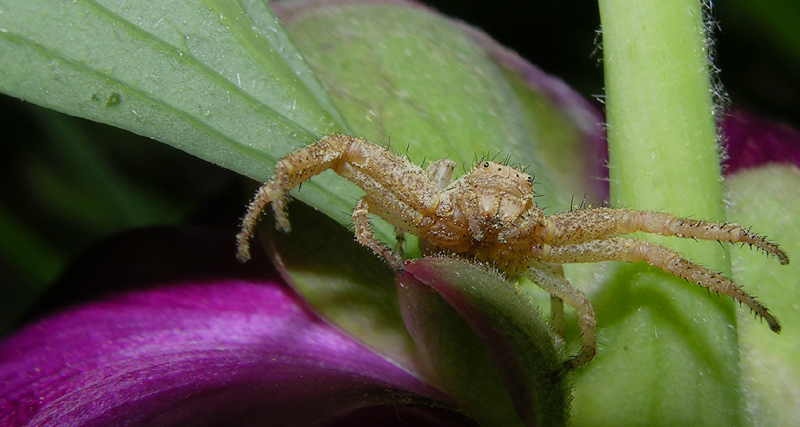 Ritrovamenti del 16 maggio.